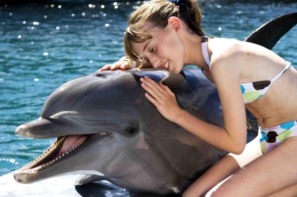 Dolphin Encounter at Ocean World, Puerto Plata