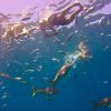 Punta Cana: Full-Day Snorkeling Tour to Catalina Island - Image 15