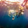 Punta Cana: Full-Day Snorkeling Tour to Catalina Island - Image 16