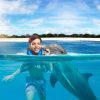 Punta Cana: Dolphin Discovery Swims and Encounters - Image 19