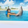 Punta Cana: Dolphin Discovery Swims and Encounters - Image 20