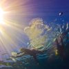 Punta Cana: Full-Day Snorkeling Tour to Catalina Island - Image 17