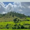 Punta Cana: Higuey, Coffee and Cocoa Tasting Tour with Lunch - Image 21