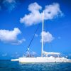 From Punta Cana: Saona Island Full Day Trip with Lunch - Image 20