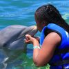 Punta Cana Dolphin Swim Adventure: 40-min Dolphin Experience - Image 20