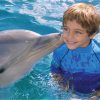 Dolphin Encounter at Ocean World, Puerto Plata - Image 4