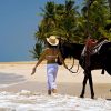 Punta Cana: Horseback Riding Through the Beautiful Beaches - Image 3