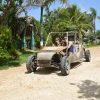 Adventure in Buggies in Playa Rincón from Samaná - Image 3