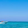 Punta Cana: Speedboat and Snorkeling Tour with Hotel Pickup - Image 4