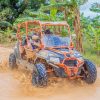 From Bavaro: Half-Day Buggy Tour with Pickup - Image 6