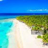 Punta Cana: Saona Island Cruise with Lunch & Open Bar - Image 4