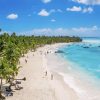 Punta Cana: Saona Island Day Trip with Tickets and Lunch - Image 3