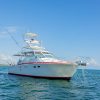 From Punta Cana: Deep Sea Fishing Tour by Boat with Drinks - Image 4