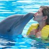 Punta Cana: Swim with Dolphins in the Pool - Image 4