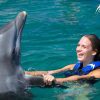 Swim with Dolphins in Punta Cana - Image 3