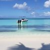 Saona Island Tour From Santo Domingo with Lunch and Pickup - Image 4