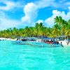 From Punta Cana: Isla Saona Full-Day Tour with Buffet Lunch - Image 3