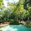 Jamaica: Full Day Dunn's River and Blue Hole with Lunch - Image 4