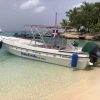 Saona Island: Beach & Natural Pool Small-Group Tour w/ Lunch - Image 3