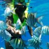 Catalina Island: Day Trip - Best Snorkeling! - Image 4