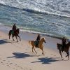 Puerto Plata: Horseback Riding on the Beach - Image 3