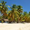 Experience Saona Island from Punta Cana - Image 3