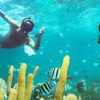 Punta Cana: Party Boat and Snorkeling Adventure - Image 4