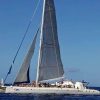 Punta Cana: Catalina Island Snorkeling Tour with Lunch - Image 4