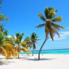 Saona Island Delights Tour from Punta Cana / Bavaro - Image 4