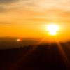 Punta Cana: Sunset Horseback Ride in Macao Beach and Forest - Image 4