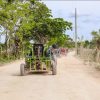 From Punta Cana or La Romana: Sugarcane Fields Buggy or Quad - Image 4