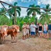 Punta Cana: Bavaro Runners Safari Tour - Image 4