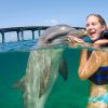 Punta Cana: Dolphin Experience in the Sea - Image 4