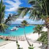 Saona Island Tour with Lunch from Punta Cana - Image 4