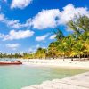 Punta Cana: Catalina Island Scuba Diving Day Trip - Image 4