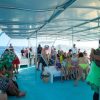 From Punta Cana: Saona Island Day Trip with Buffet Lunch - Image 4