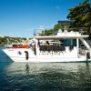 Catalina Island Scuba Diving Tour from Punta Cana - Image 4