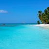 Punta Cana: Saona Island Day Trip with Open Bar and Lunch - Image 2