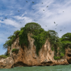 Discover Los Haitises National Park with Delicious Lunch - Image 4