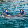 Puerto Plata: Ocean World Adventure Park Swim with Dolphins - Image 4