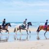 HORSEBACK RIDING BEACH MACAO PUNTA CANA WITH PICKUP HOTEL - Image 4