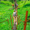 Punta Cana: Half-Day Zipline Tour - Image 5