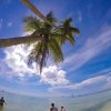 Full-Day Cruise of Isla Saona from Santo Domingo with Lunch - Image 3