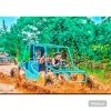 Punta Cana: Dune Buggy tour Beach And Cenote - Image 4