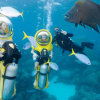 Punta Cana: Scubadoo Explore The Ocean - Image 4