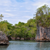 Los Haitises 4 Caves expedition & Rain Forest walk - Image 4