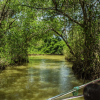 Los Haitises Boat Ride + Caño Hondo Natural Pools - Image 4