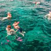 Punta Cana: Full-Day Snorkeling Tour to Catalina Island - Image 2