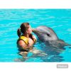 Punta Cana: Dolphin Explorer Swims and Encounters - Image 2