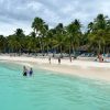 Excursion to Saona Island: Tropical Paradise whit Lunch - Image 14